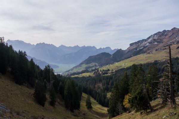 Moorelfen und Mürtschenstock