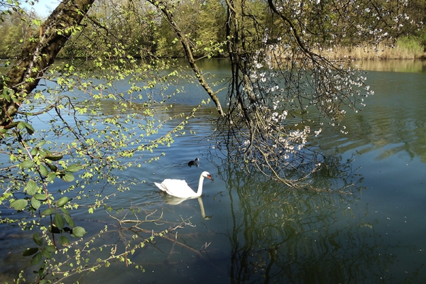 Le long des rivières