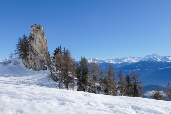 En hiver sur les traces du dahu