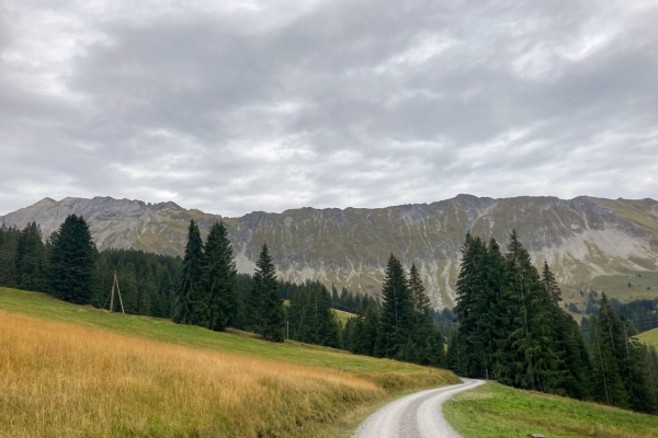 UNESCO Biosphère Entlebuch: de fascinants marais