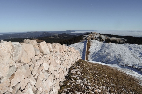 Sur le Mont Tendre dans le Parc Jura vaudois