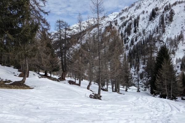 Primi passi con le racchette da neve