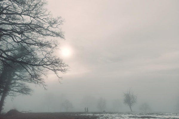 Zutaten einer Nebelsuppe - Highlight Wanderung