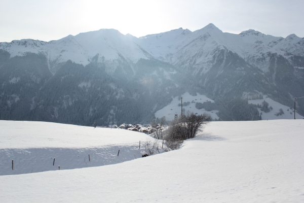 Cun gianellas sin l’Alp Lumbrein