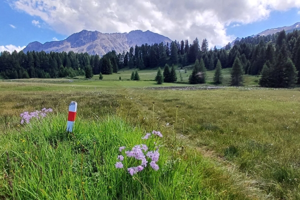 La pli bella vista sin la Val Alvra