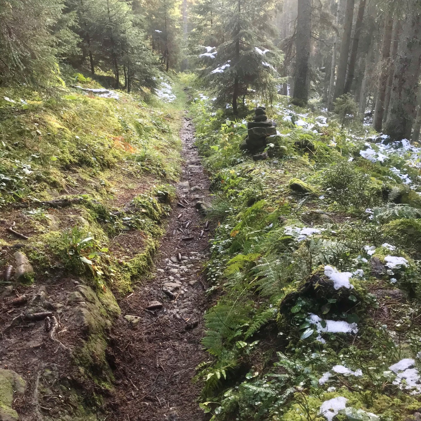 Herbst_glaubenberg