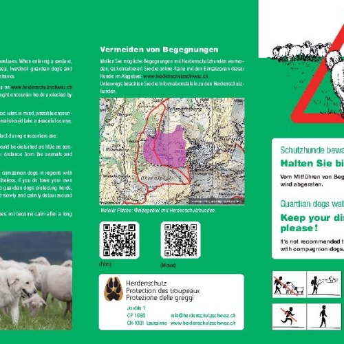 Flyer_sichere begegnung mit herdenschutzhunden_d