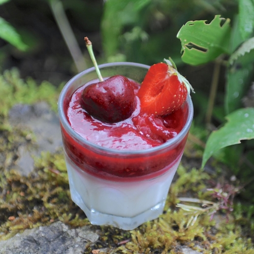 8_Dessert_Kokos_Wackelpudding_1