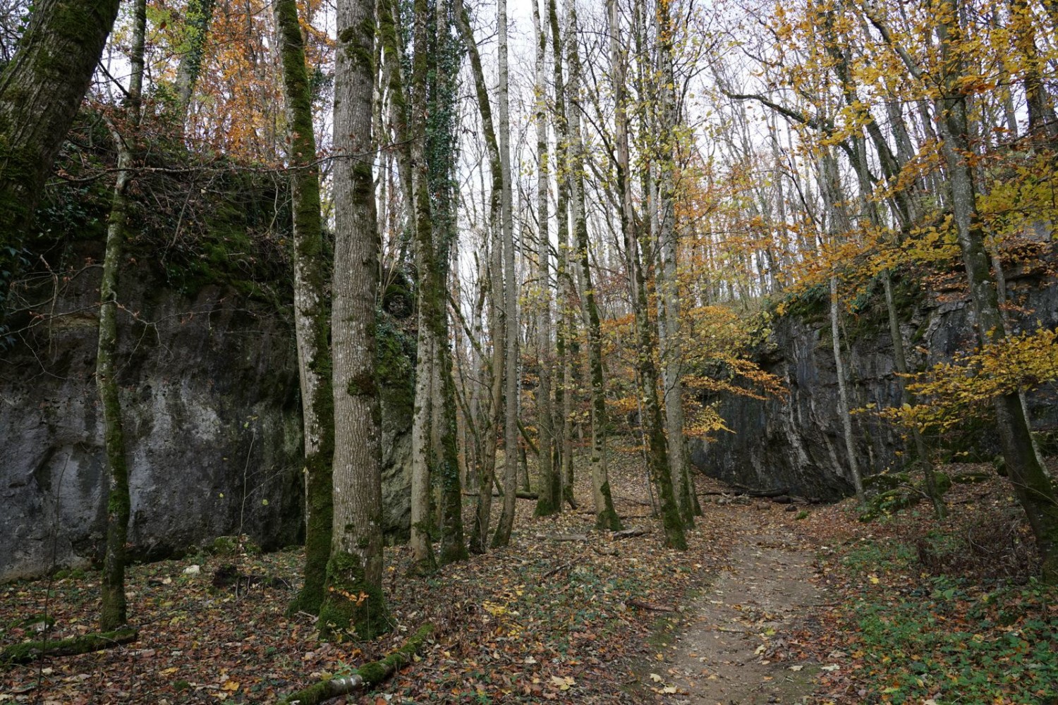 Le Churzloch est profondément taillé dans la roche calcaire.