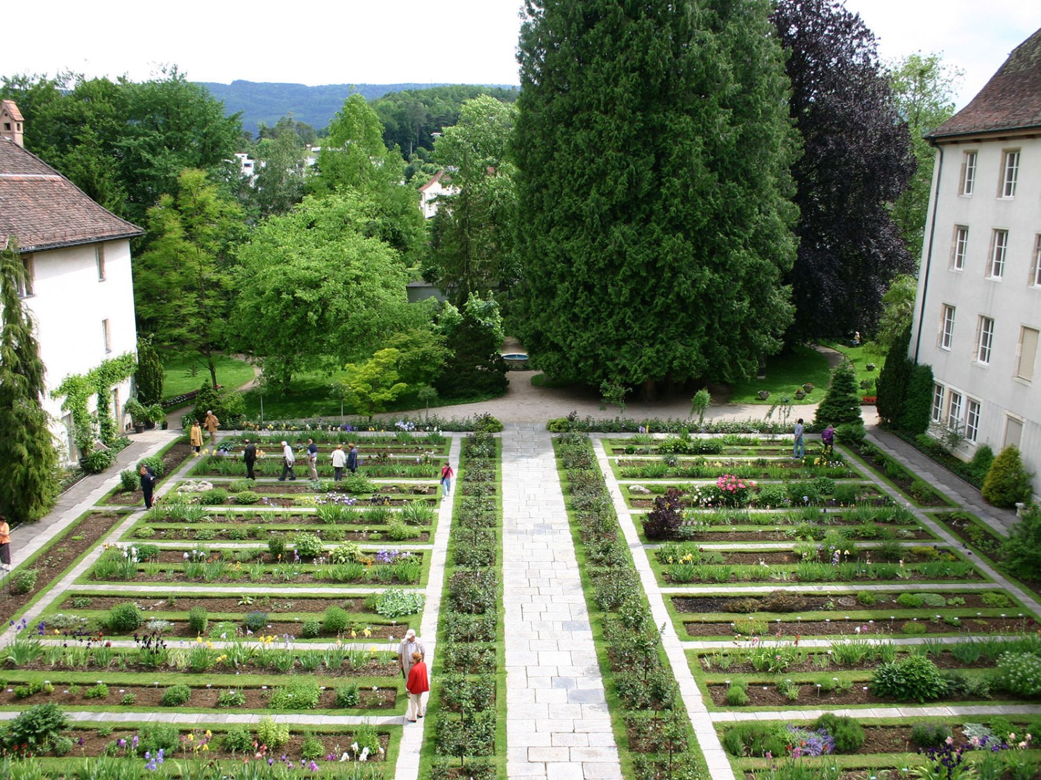 L’allée de rosiers et la section de systématique des plantes classées par famille sont magnifiques. Photo: Jura Tourisme