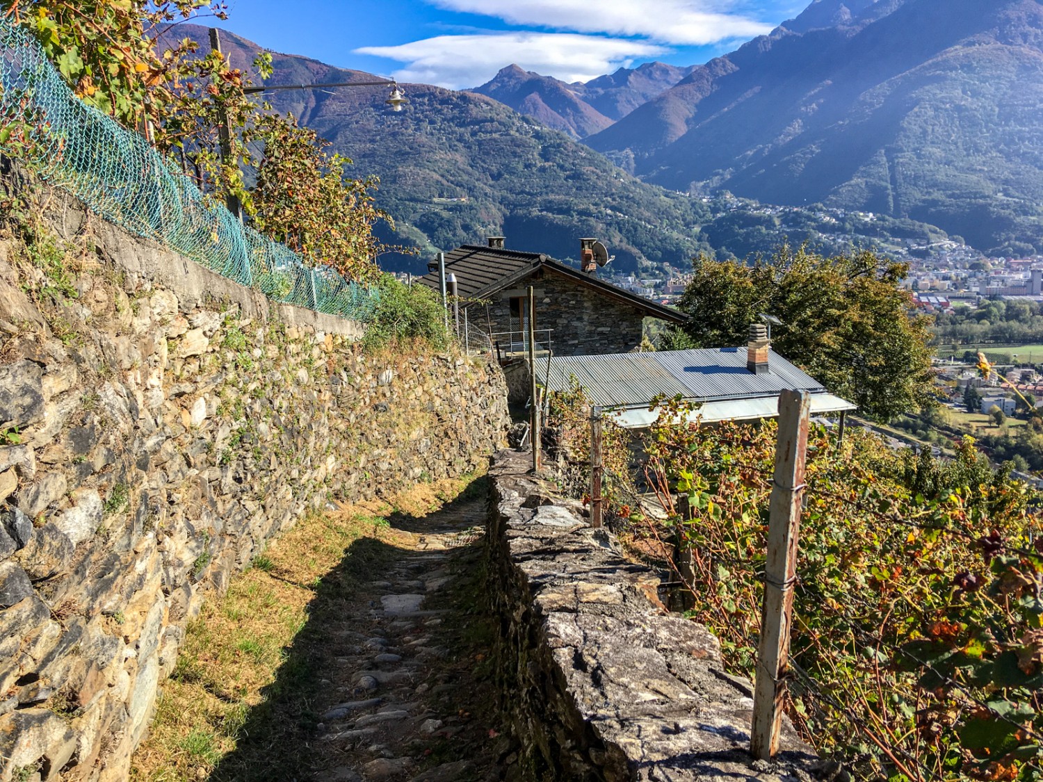 Il percorso si snoda tra i vigneti. Immagine: Claudia Peter