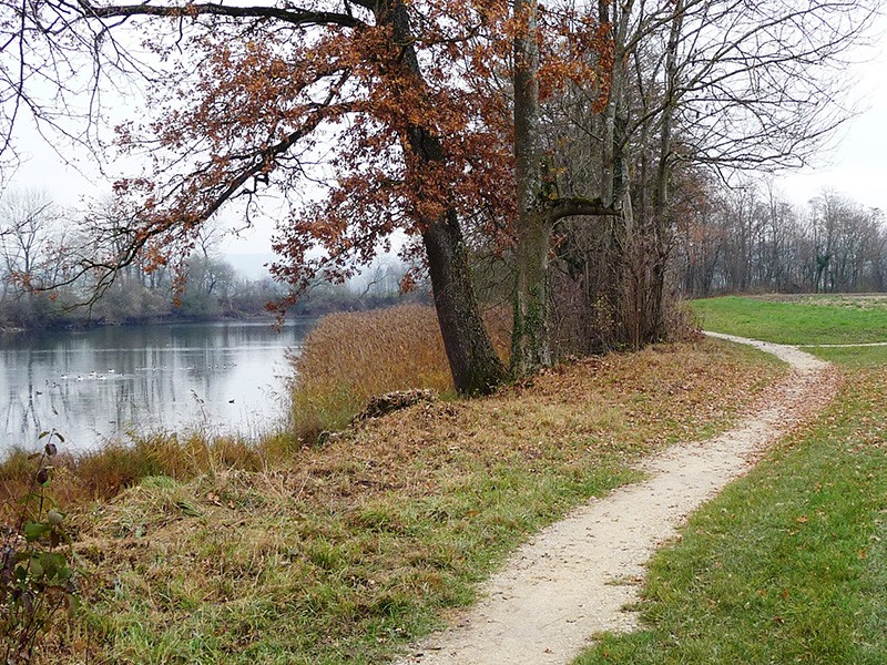 Idyllische Flusslandschaft im Naturschutzgebiet. Bild: Hans Schüpbach, KGS