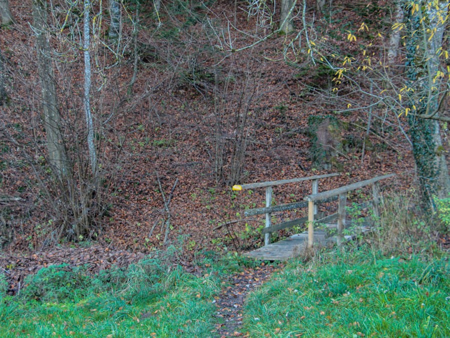 Der Boden des schmalen Pfades ist bedeckt mit bunt verfärbten Blättern und erinnert an einen Märchenwald. Foto: Alexandra Blatter