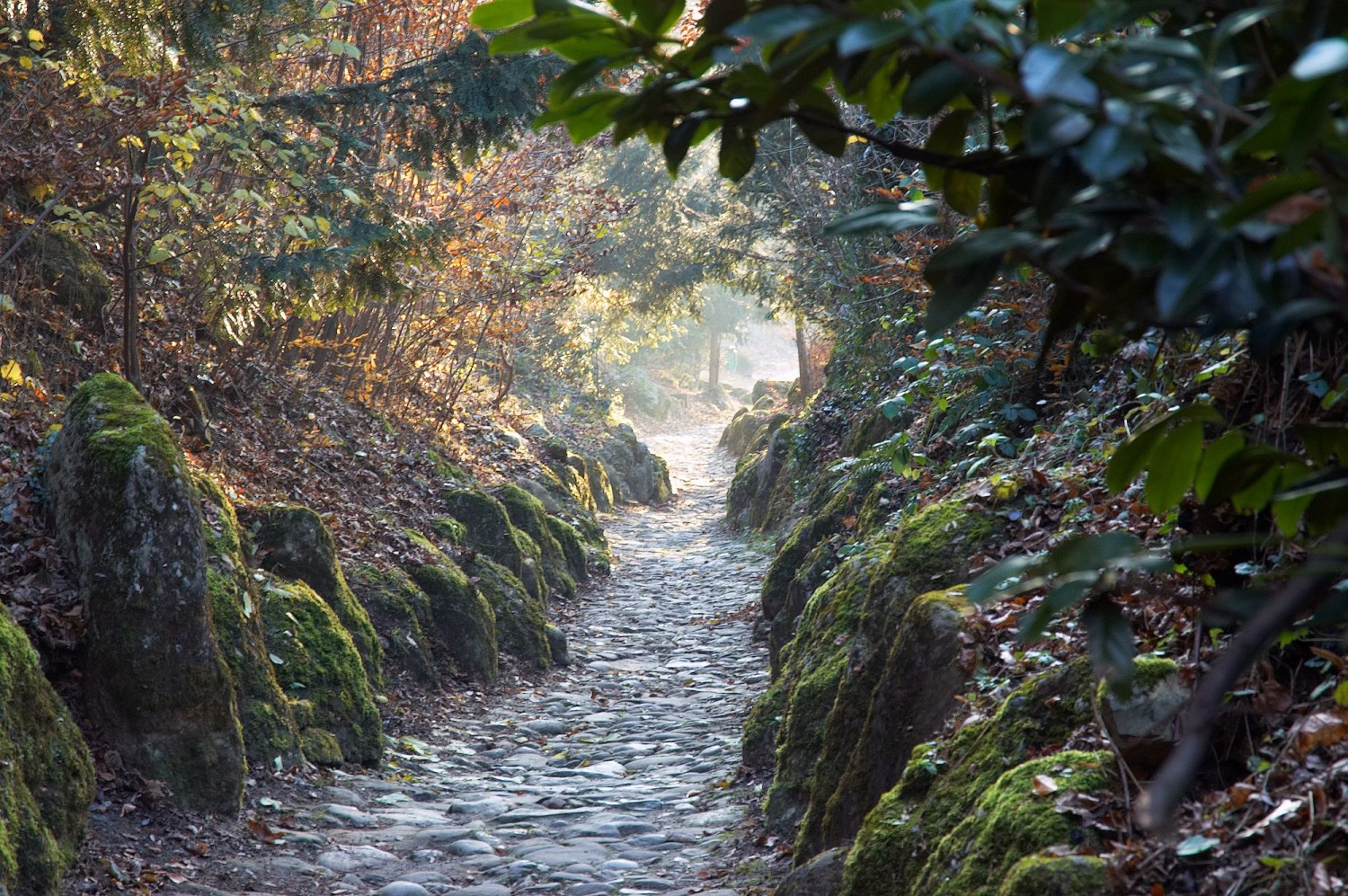 Auf dem Weg durch die berühmte Hohle Gasse...