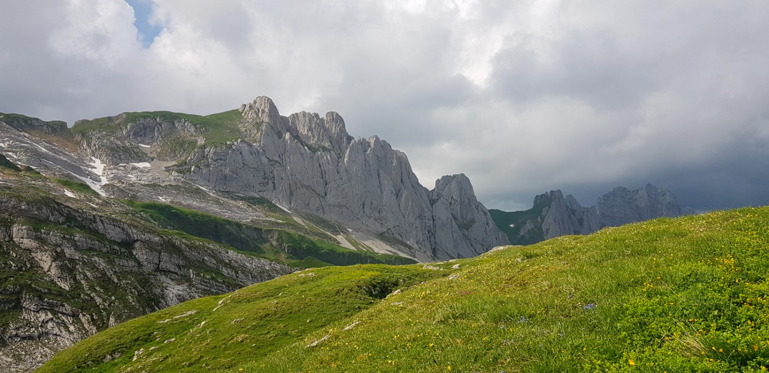 Die Landschaft auf dem Mutschensattel ist typisch für das Mittelgebirge: grün und steinig zugleich. Bild: Patricia Michaud