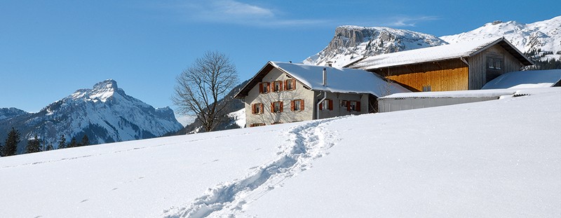 La ferme de Salwideli, située sur une crête ensoleillée, dispose de chambres d’hôtes été comme hiver.