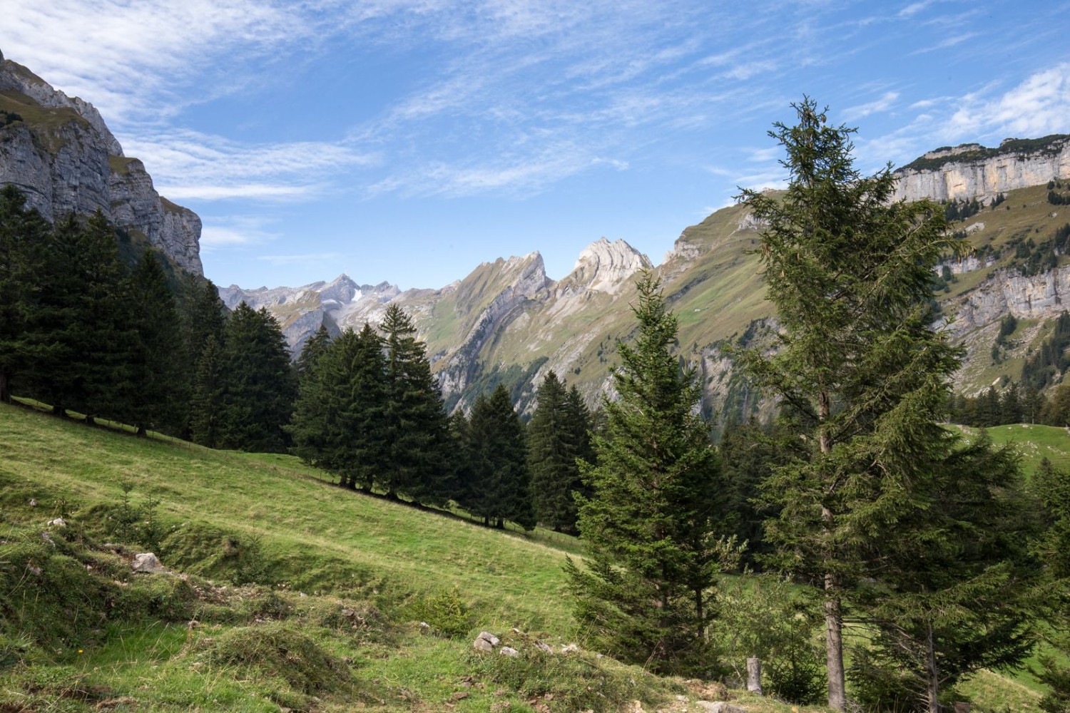 Blick ins Herz des Alpsteins, auf die Bergkette zwischen Schäfler (rechts) und Säntis (mit Antenne).