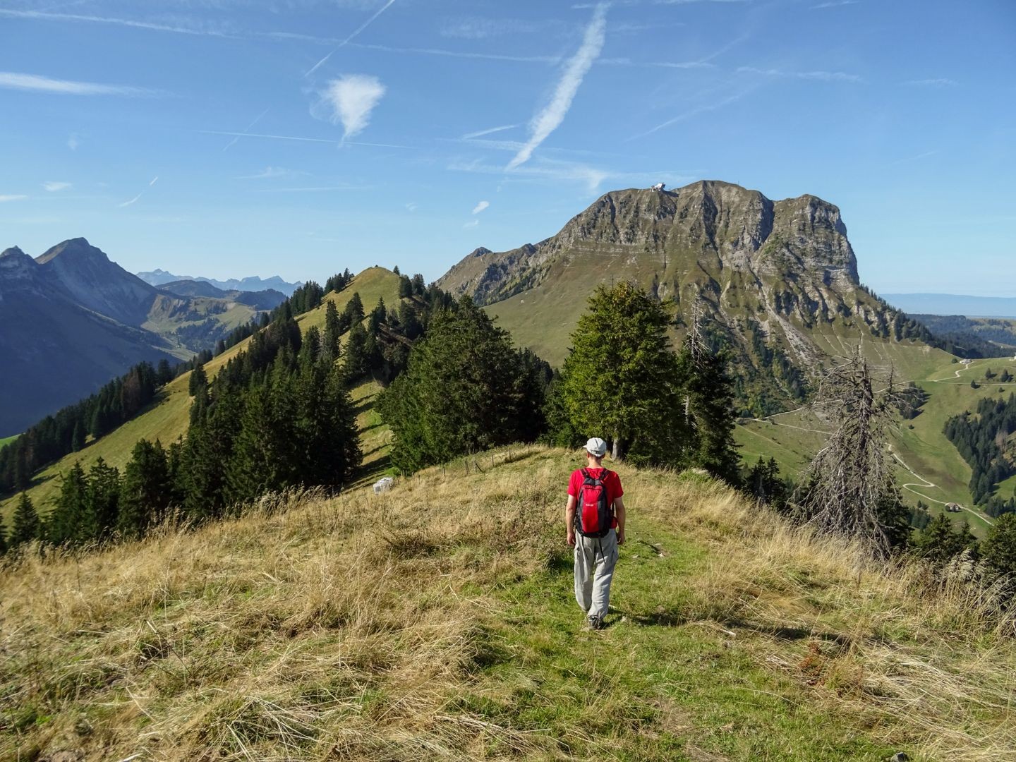 Abstieg mit dem Moléson im Blick.