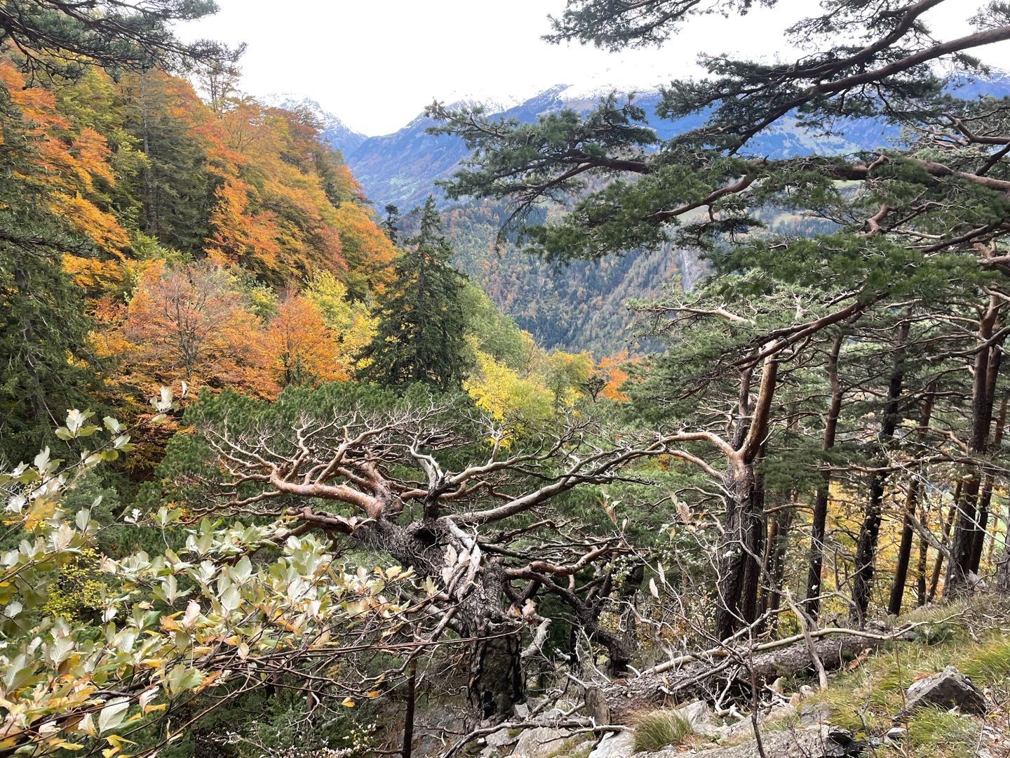 Randonnée d'automne au Lichtenstein avec vue sur la vallée du Rhin