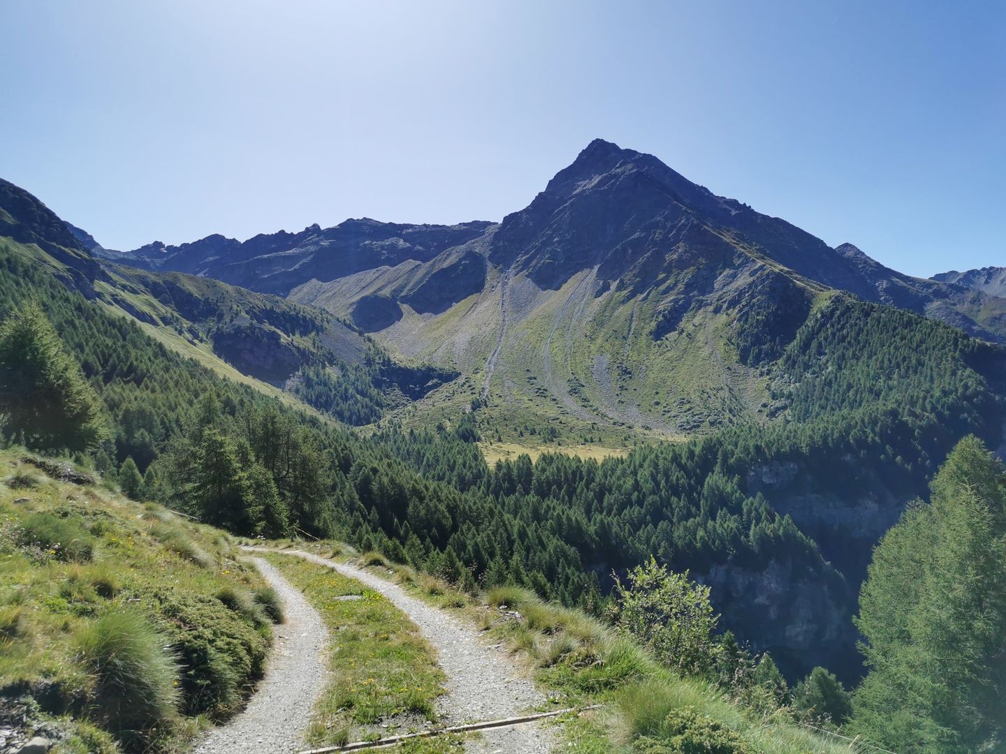 Le Piz Sena, vu de Mota.