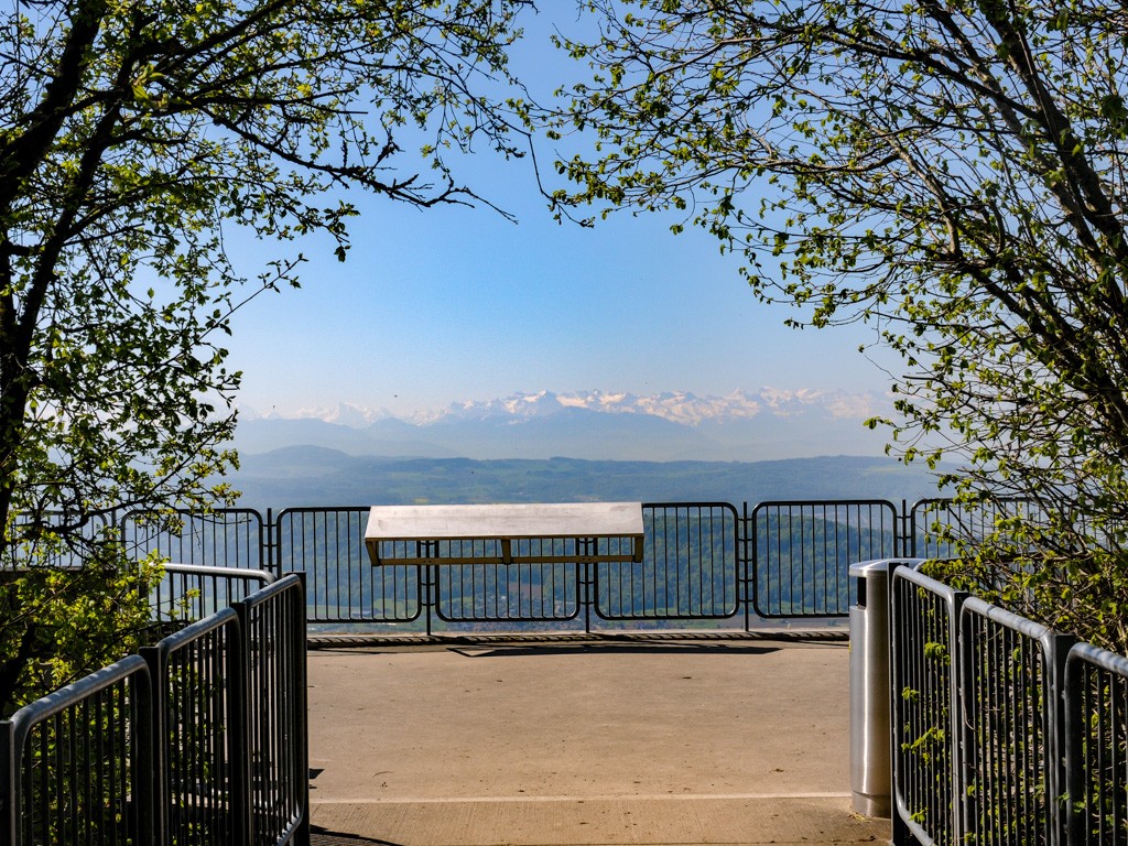 Immer wieder eröffnen sich einem prächtige Ausblicke in die Alpen. 