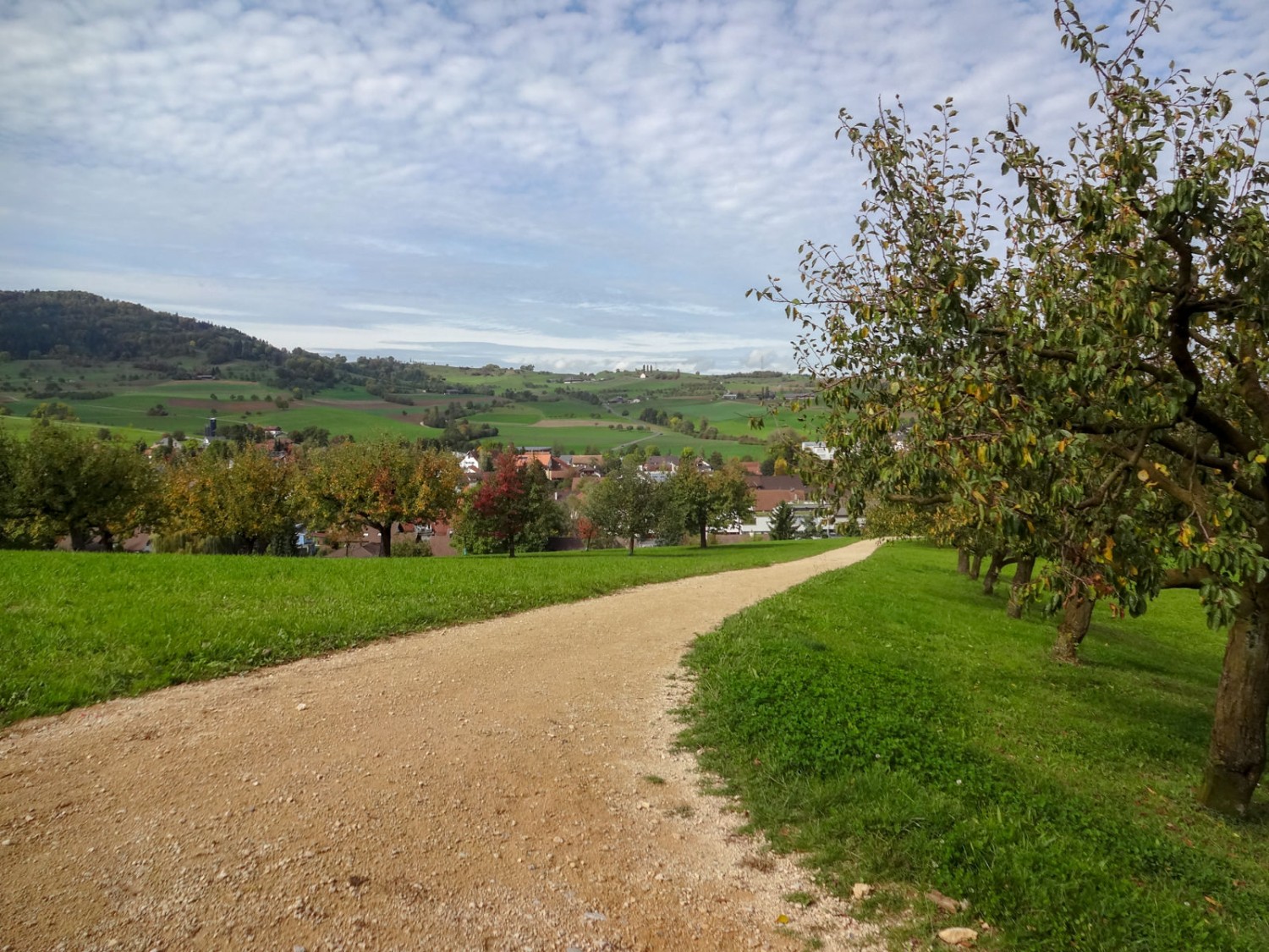 Champs, forêts, collines et vergers sont au menu de cette randonnée. Photos: Miroslaw Halaba