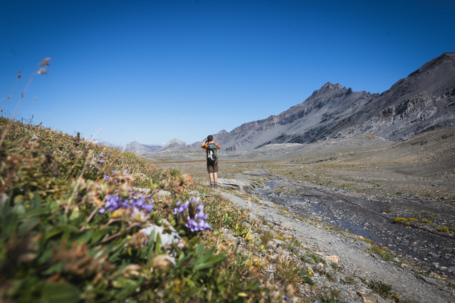 Le parcours passe aussi bien en haute montagne que par de superbes alpages. Photo: Alex J. Wissmann