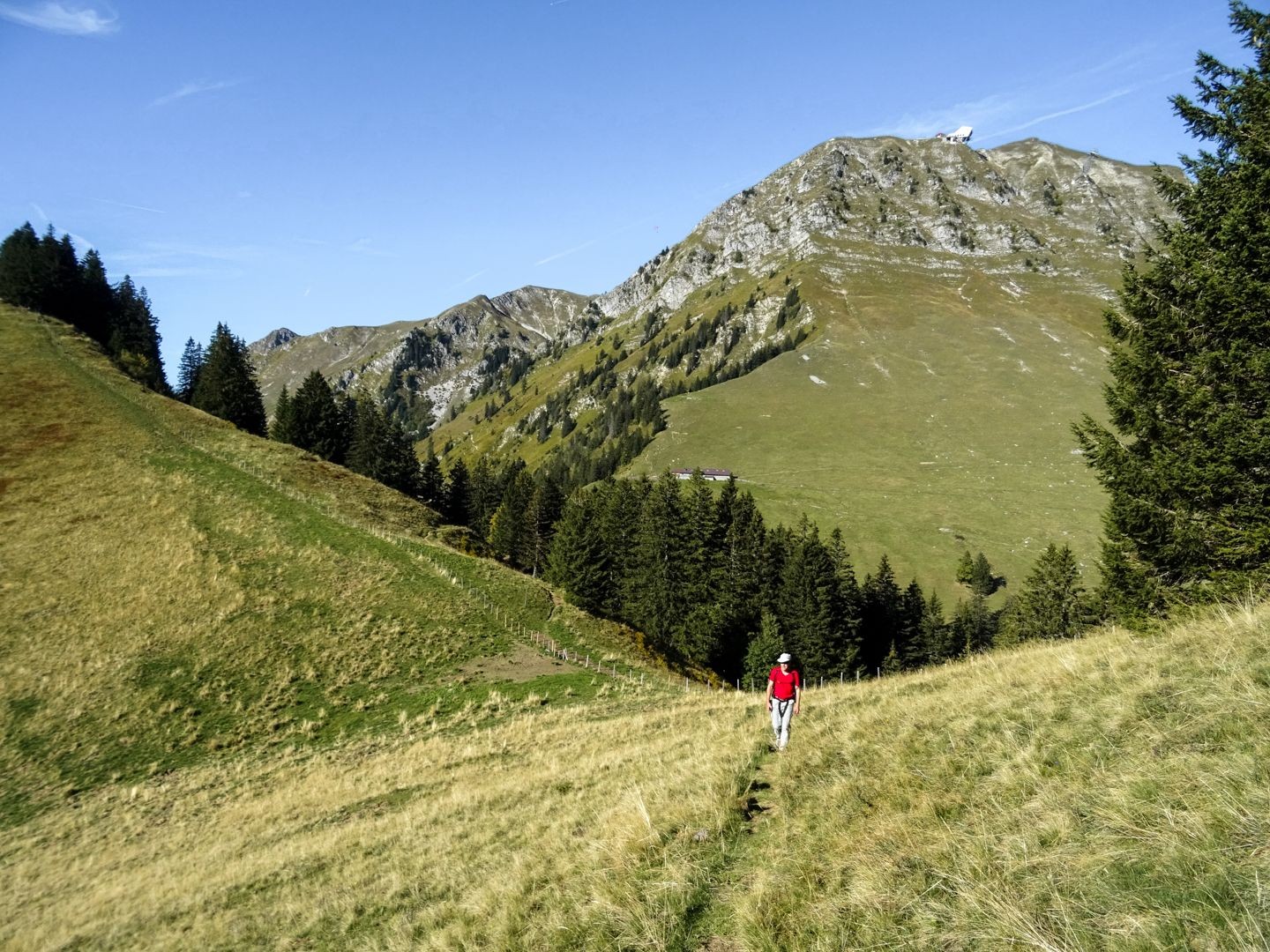 Dans la montée vers la Vudalla, avec le Moléson derrière soi