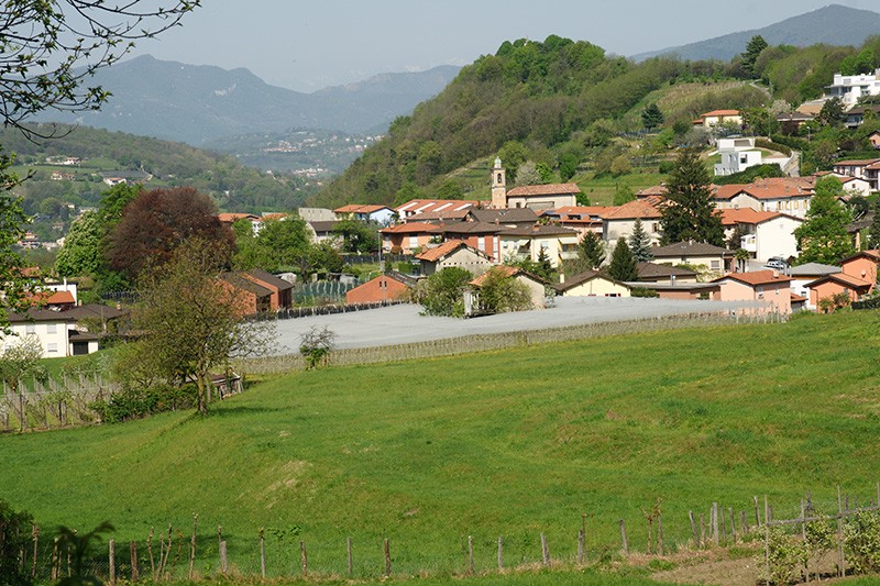 Blick auf Pedrinate. Bild: Luc Hagmann