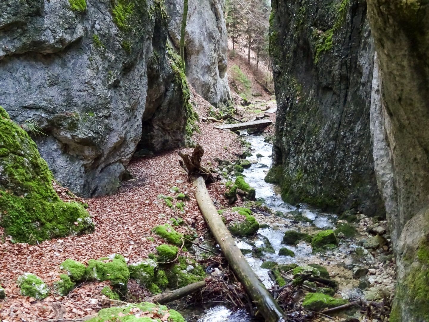 Les parois se touchent presque à l’endroit le plus étroit de la Wolfsschlucht.