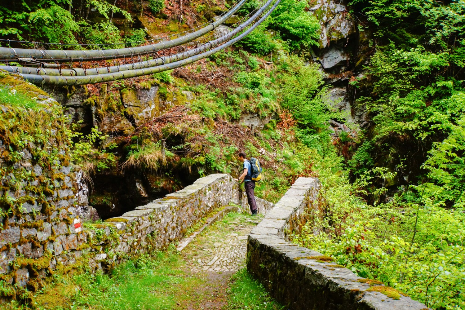Il percorso conduce su vecchi sentieri e ponti.
