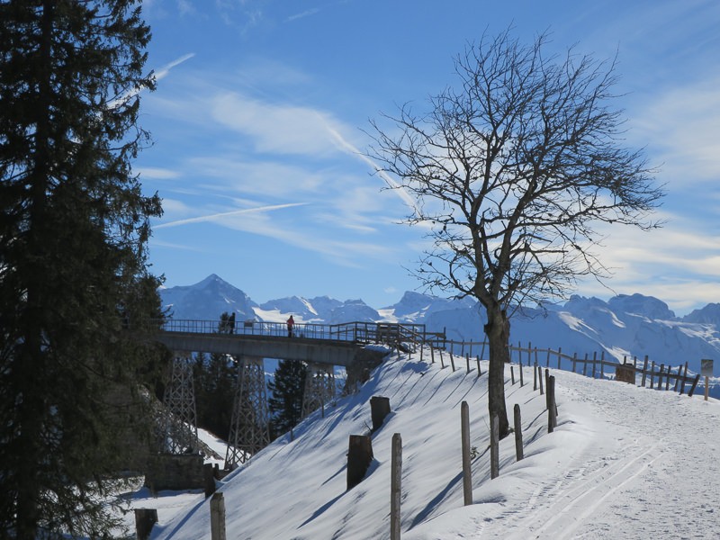 Der Winterwanderweg nach Rigi Scheidegg verläuft auf dem Trassee einer stillgelegten Bahn. Sogar ein Viadukt gehört dazu. Bild: Andreas Staeger