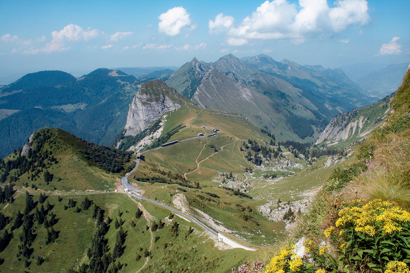 Aux Rochers-de-Naye, le train à crémaillère dans un décor montagneux et sylvicole.