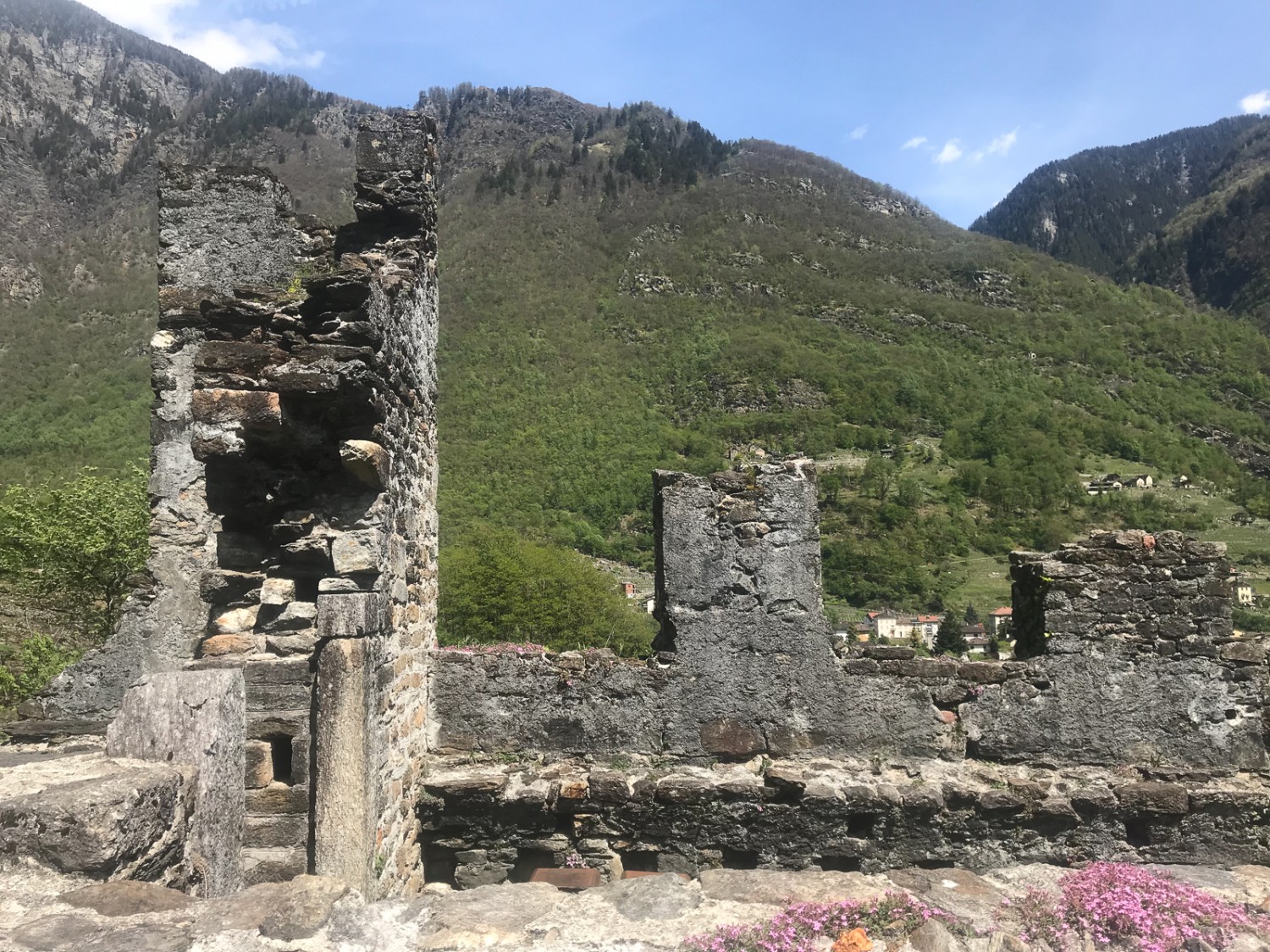 Veduta verso est dal castello di Serravalle. Foto: Loïc von Matt