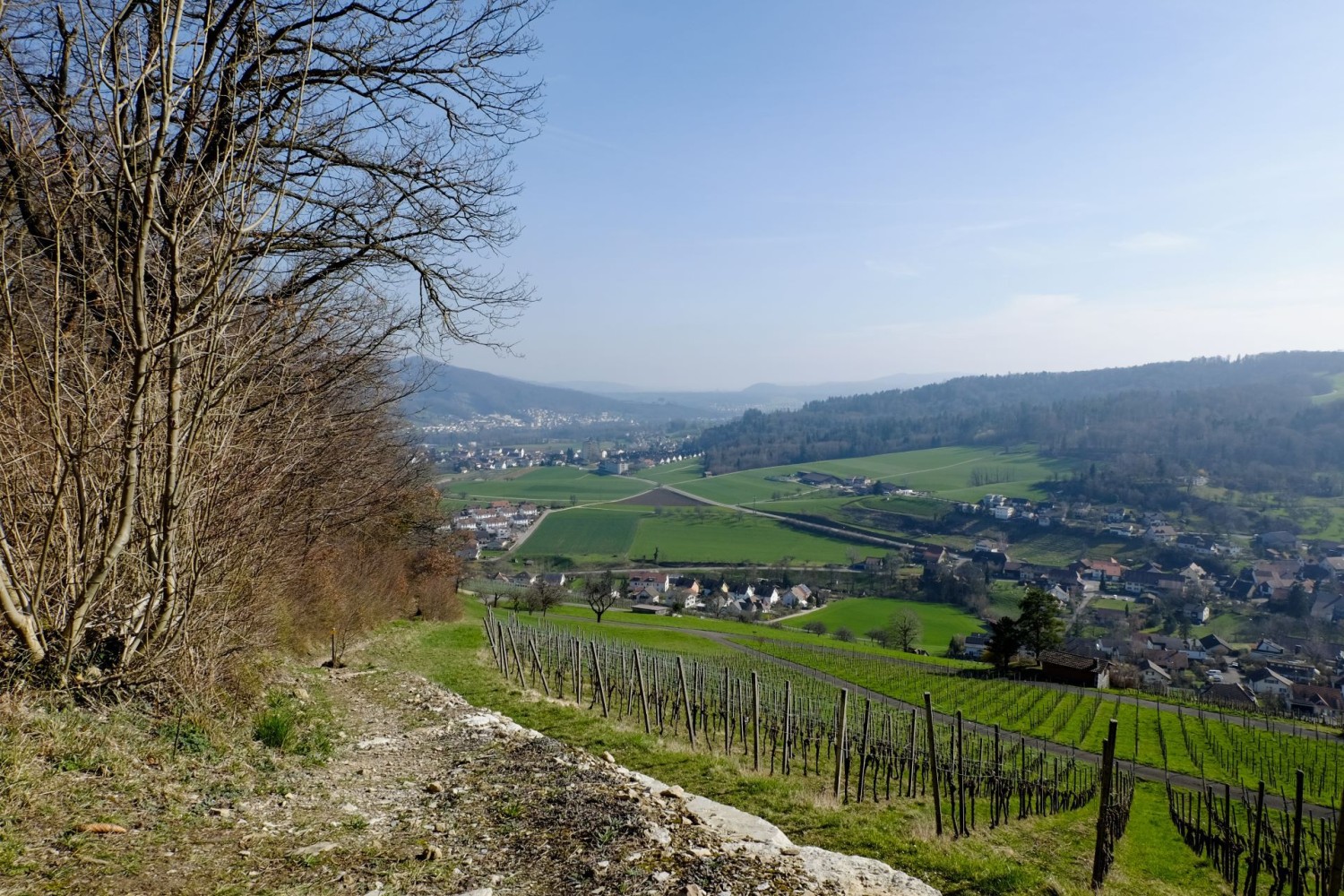 Der Abstieg nach Schinznach führt über Mauern aus weissem Jurakalk.