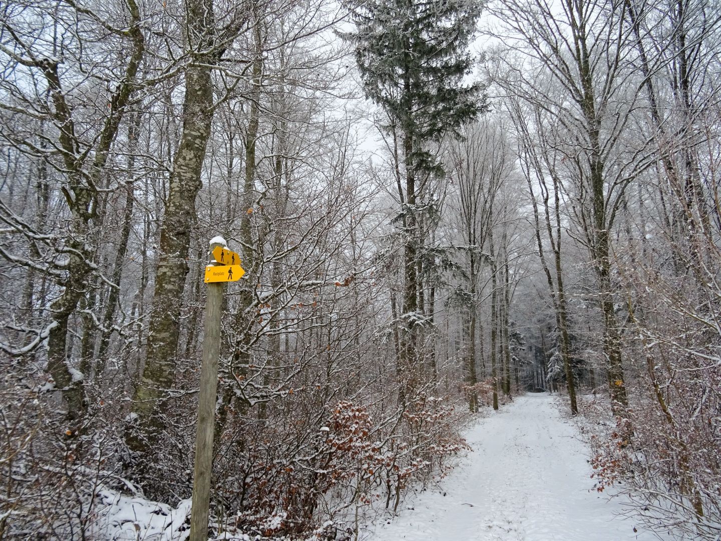 En fin d’automne, la première neige sur le Reiatweg