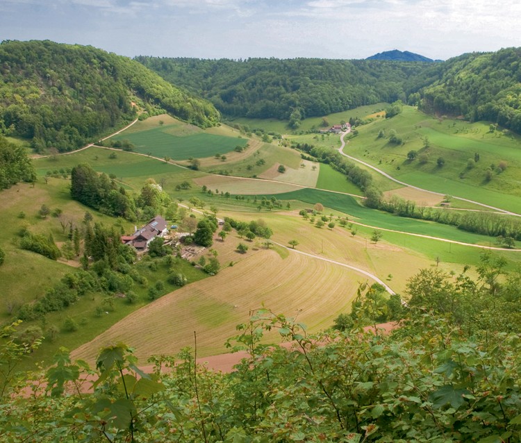 Im Tafeljura bei Rothenfluh.