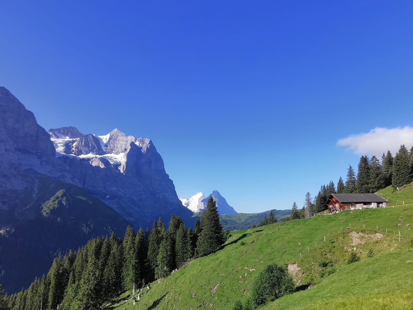 Bei Mettlen, im Hintergrund das Wetterhorn.