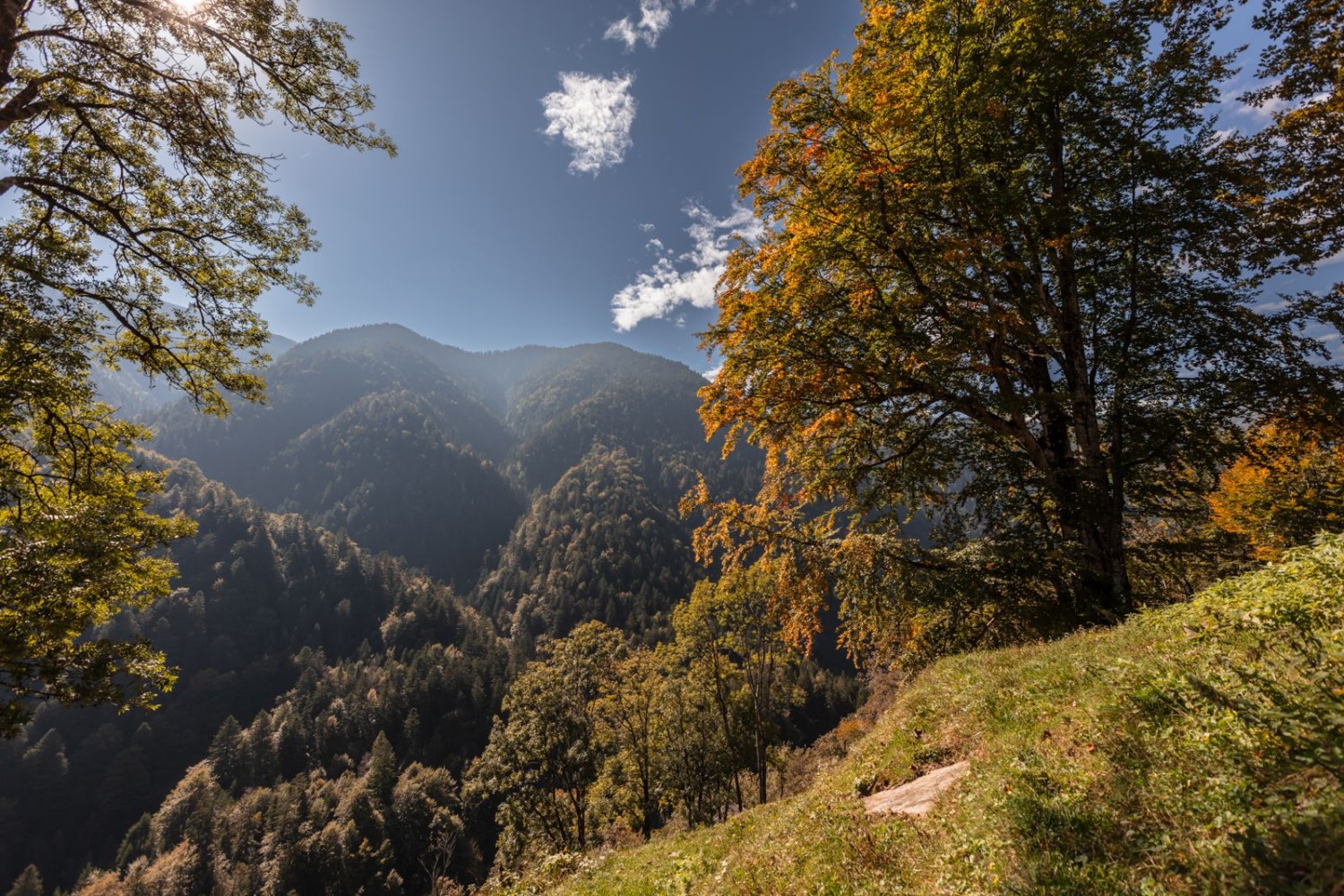 Blick ins herbstliche Onsernonetal.