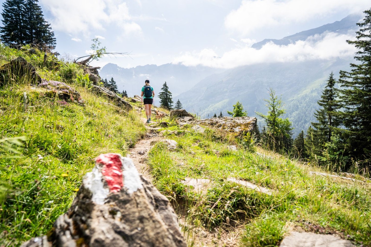 Wanderweg im Paradies: Der Weg ab dem Lac Retaud ist ein Wandertraum.