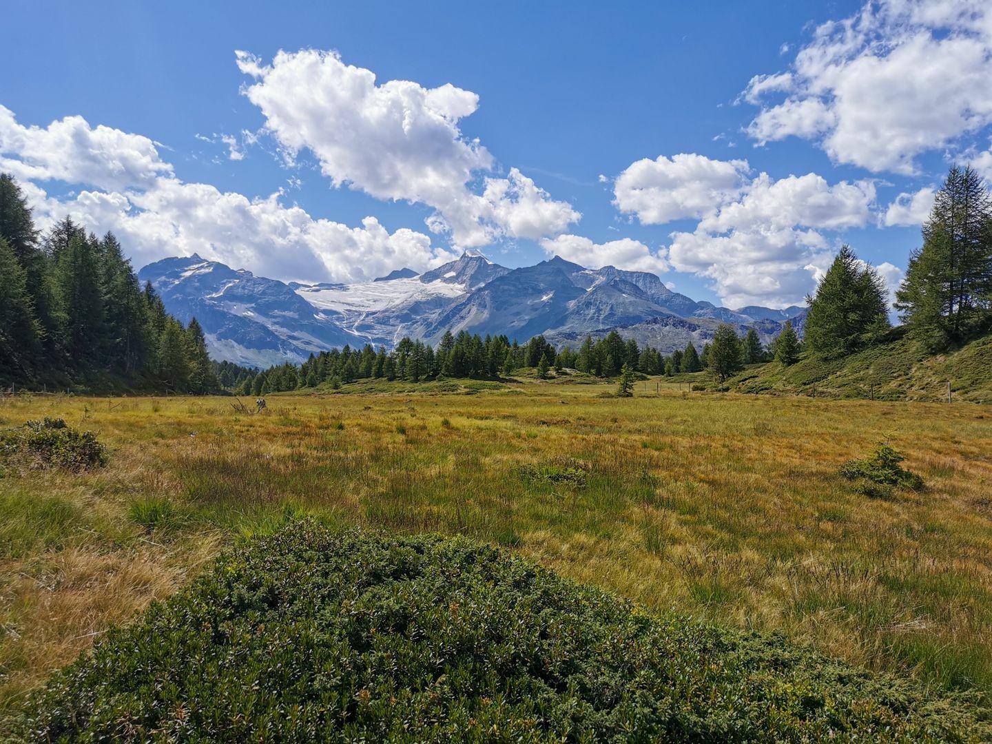 Le paysage marécageux de Munt da San Franzesch.