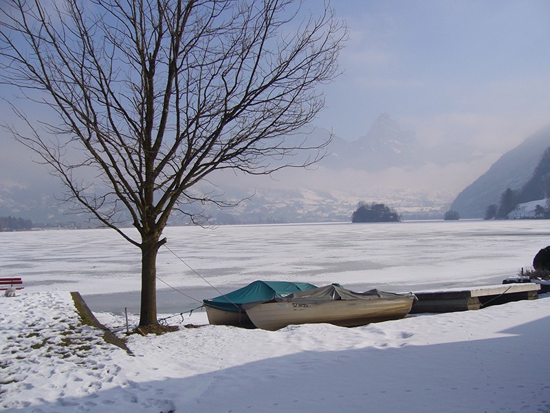 Winterstimmung am gefrorenen Lauerzersee.          
Bild: Werner Nef