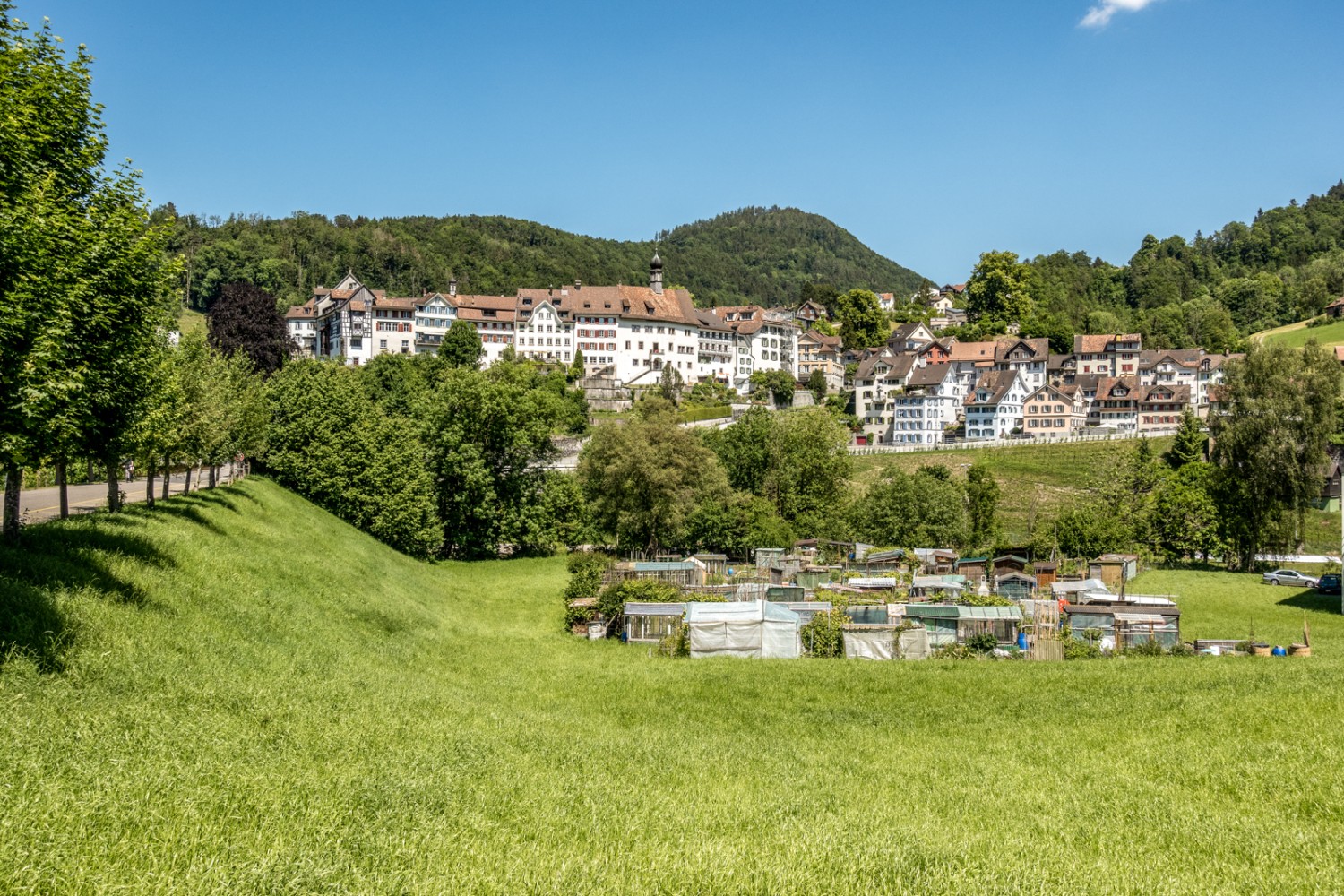 La petite ville médiévale de Lichtensteig forme une apparition pittoresque. Photo: Fredy Joss