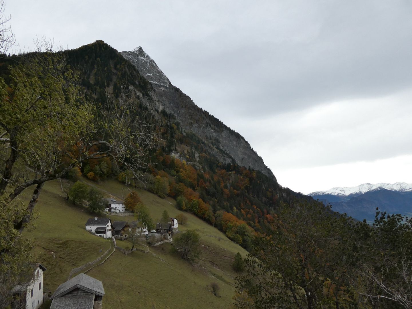 Feurige Herbstwanderung in Liechtenstein mit Aussicht aufs Rheintal