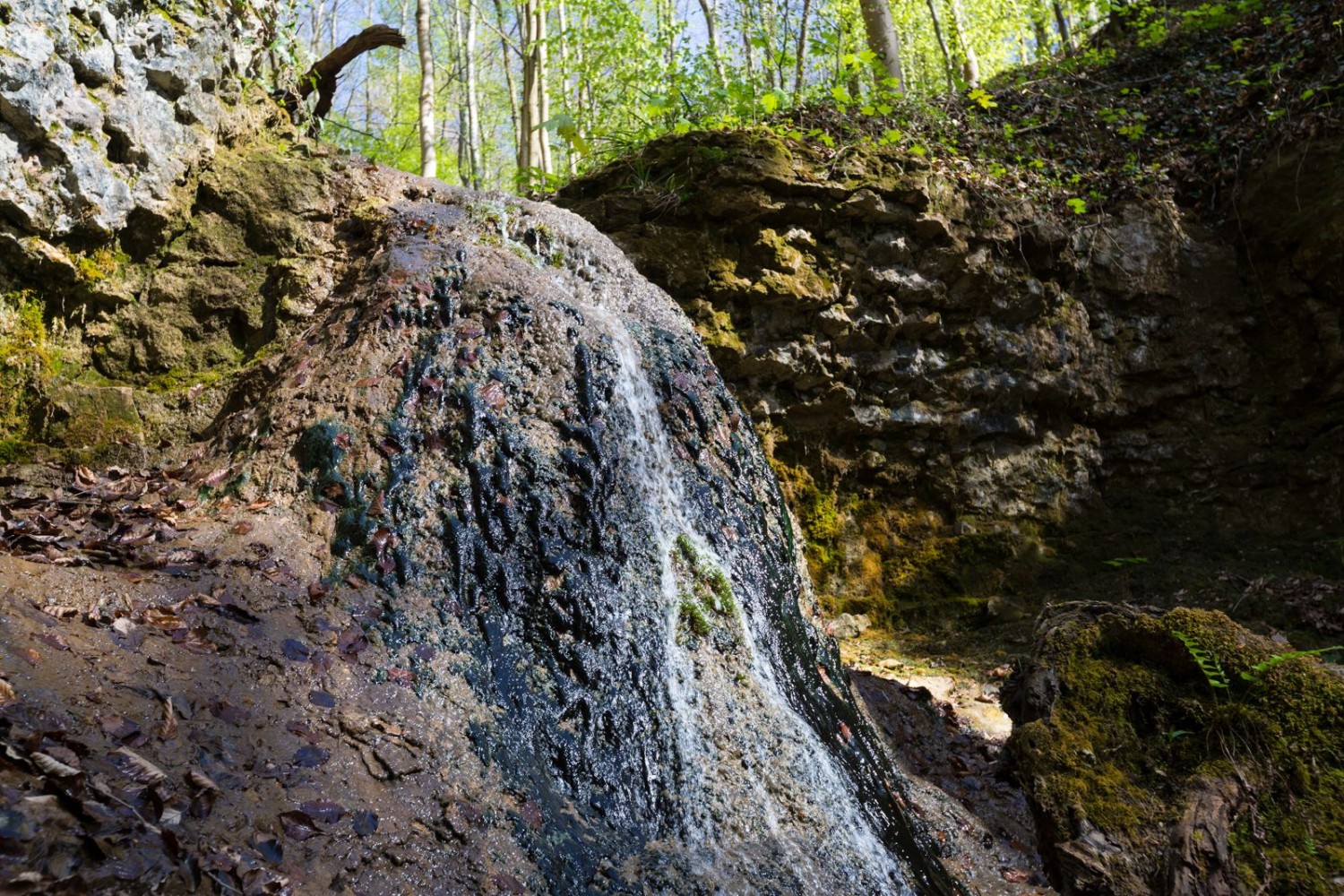 Randonnée dans l’Eiserne Hand, près de Bâle