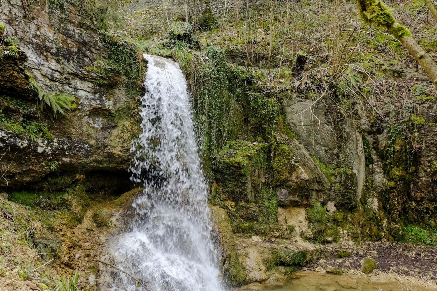 Der Wasserfall der jungen Sissle, der höchste im Kanton Aargau.