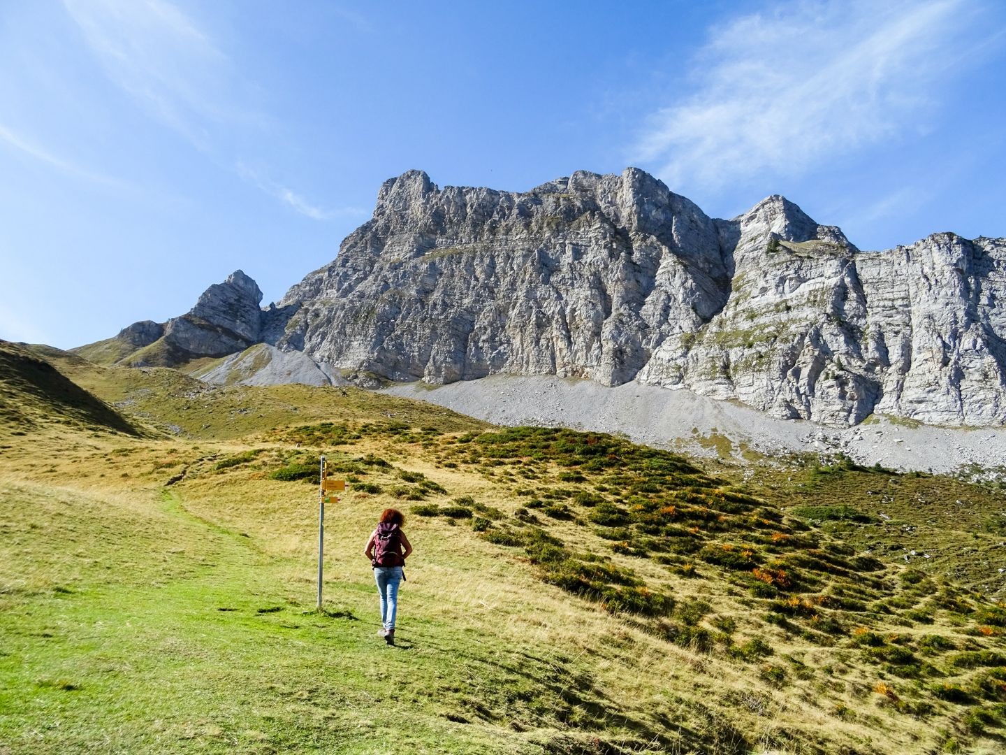 Sur l’Alp Grimmi