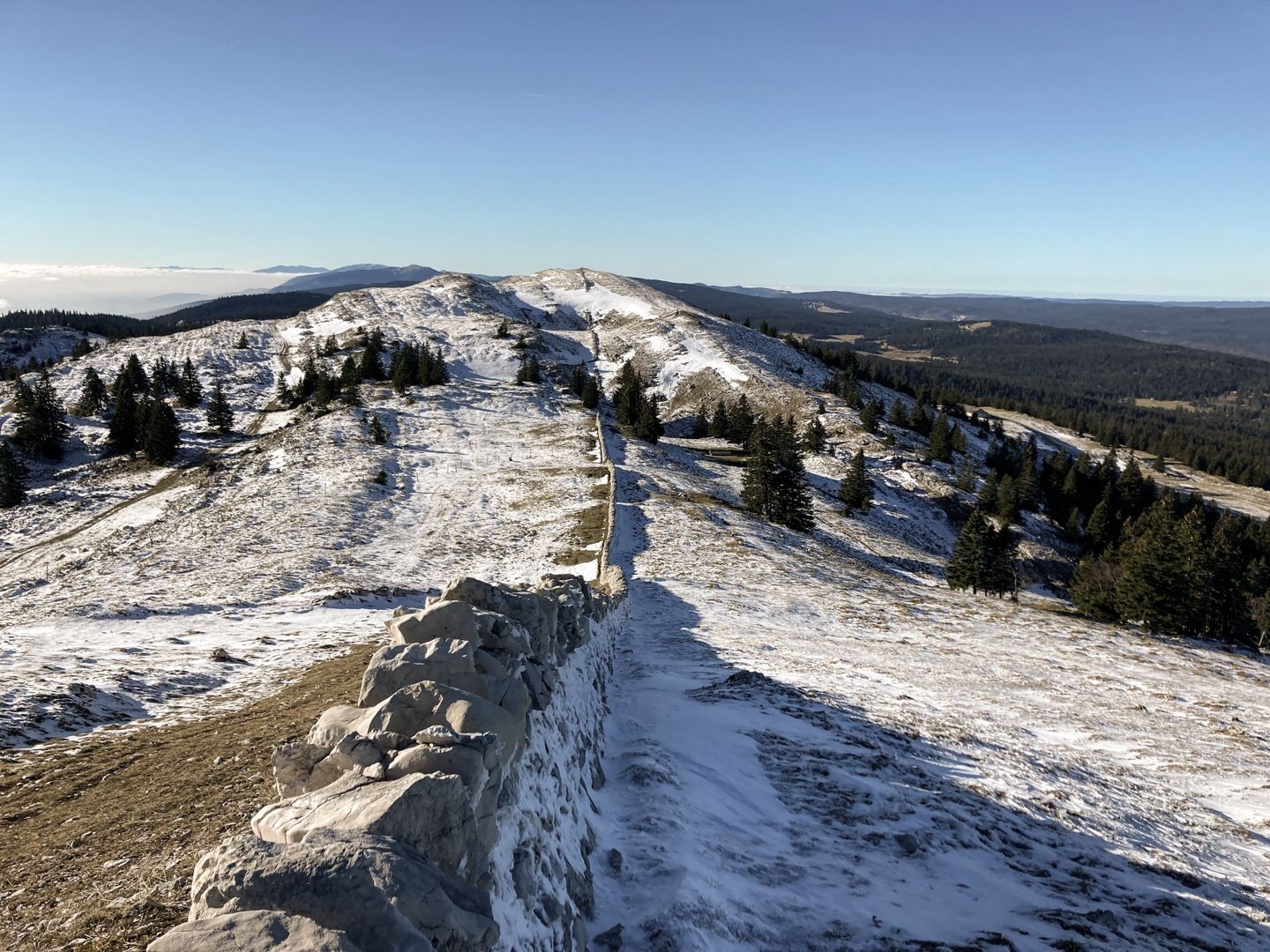 Aussicht vom Rücken des Mont Tendre nach Süden.