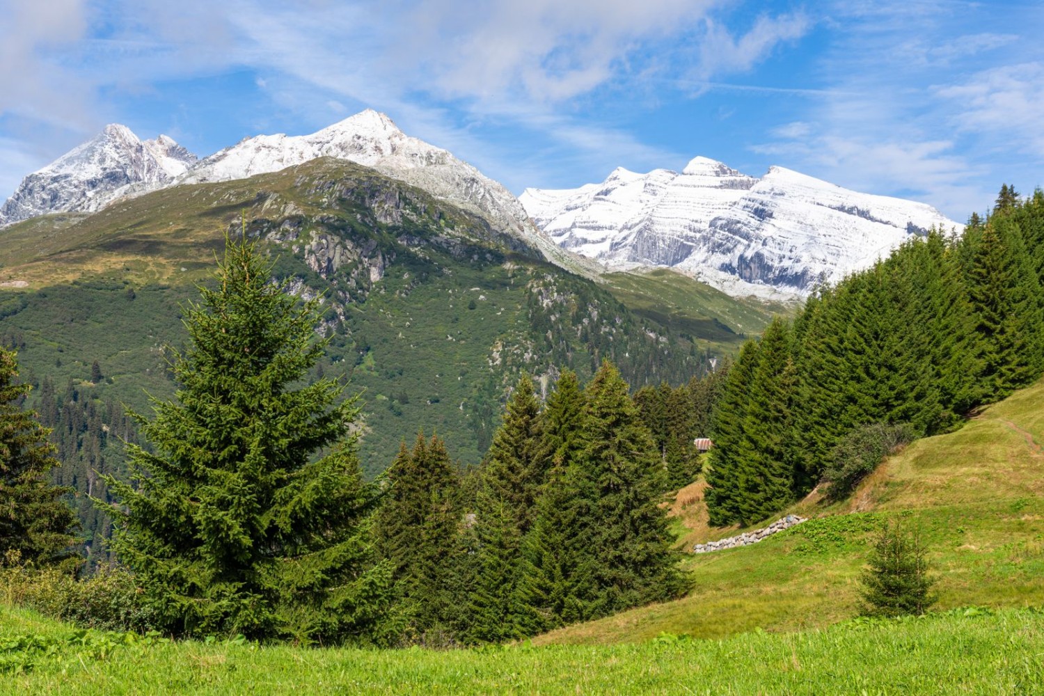 Das Val Frisal versteckt sich zwischen Brigelserhörner (links) und Bifertenstock (rechts).