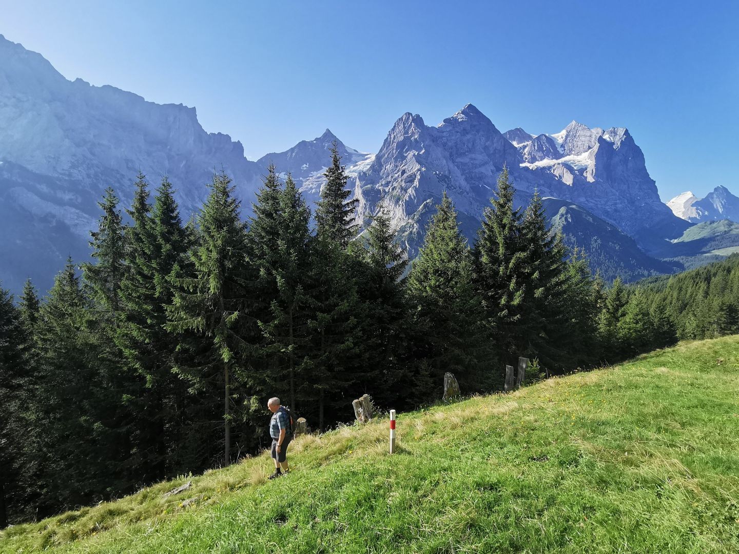 Nachmittagsrunde an der Alp Grindel